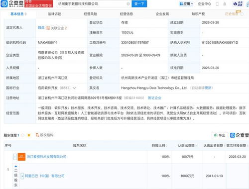 阿里新公司 在數(shù)據(jù)的深海中“提純”價(jià)值